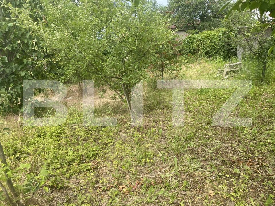 Casa de vânzare 4 camere Nord-Vest - 152508CV | BLITZ Ploieşti | Poza6