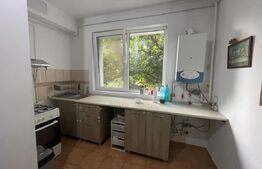 Garsoniera, 40 mp, zona Mihai Bravu