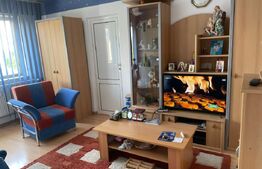 Apartament 2 camere ,zona Nord -Intrarea Polux
