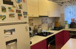 Apartament 3 camere, mobilat, 46,53 mp, zona Baraolt