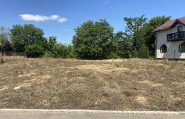 Teren intravilan 700 mp, in zona rezidențiala, Bucov