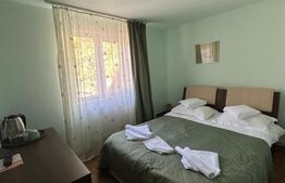 Pensiune 12 camere, 429mp, Busteni, zona Zamora