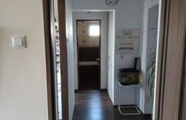 Apartament 2 camere, decomandat, 50mp, zona Vest II