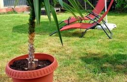 Casa individuala 4 camere, 130 mp, zona Valea Calugareasca, Darvari