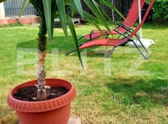 Casa de vânzare 4 camere Central - 154331CV | BLITZ Ploieşti | Poza8