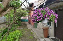 Proprietate unică cu patru clădiri în zona ultracentrală a orașului Ploiești