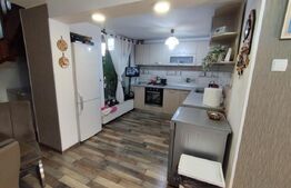 Spatiu industrial si locuinta, 810mp, teren 1370mp, Bariera Bucuresti