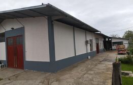 Spatiu industrial si locuinta, 810mp, teren 1370mp, Bariera Bucuresti