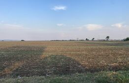 Teren intravilan 29 000 mp, Paulesti. DN1. 
