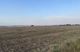 Teren intravilan 29 000 mp, Paulesti. DN1. 