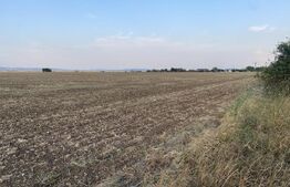 Teren intravilan 29 000 mp, Paulesti. DN1. 