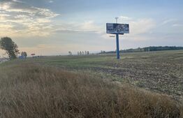 Teren intravilan 29 000 mp, Paulesti. Oportunitate!