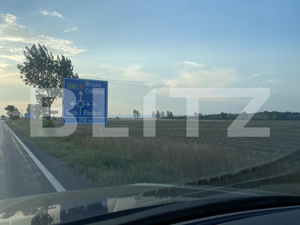 Teren de vânzare Exterior Nord - 155528TV | BLITZ Ploieşti | Poza5