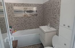 Apartament, 3 camere, decomandat, zona Malu Rosu 