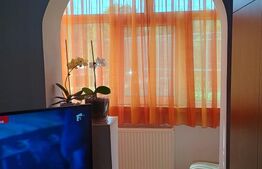 Apartament, 2 camere, 43mp, Plopeni