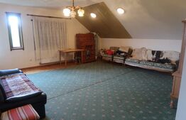 Casa, 7 Camere, Paulesti, teren 1700mp