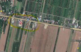 Teren intravilan, Albesti, centura ploiesti, 2500mp