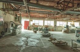 Hale, spațiu producție și depozitare 3187 mp și teren 9141 mp.