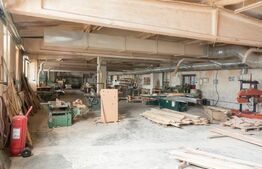 Hale, spațiu producție și depozitare 3187 mp și teren 9141 mp.