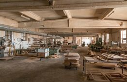 Hale, spațiu producție și depozitare 3187 mp și teren 9141 mp.