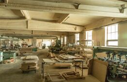 Hale, spațiu producție și depozitare 3187 mp și teren 9141 mp.