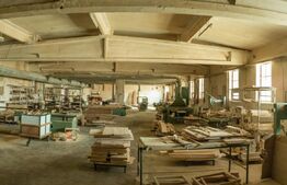 Hale, spațiu producție și depozitare 3187 mp și teren 9141 mp.