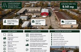 Hale, spațiu producție și depozitare 3187 mp și teren 9141 mp.