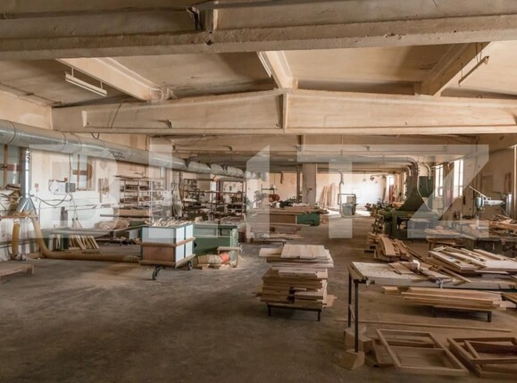 Spațiu industrial de vânzare Mihai Bravu - 156875SVI | BLITZ Ploieşti | Poza19