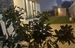 Casa de lux langa padure, 212 mp, teren 500 mp, in Paulesti. 