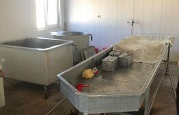 Afacere la cheie + casa, 160mp, Baraitaru 