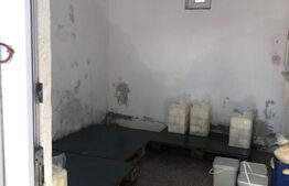 Afacere la cheie + casa, 160mp, Baraitaru 