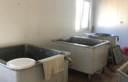 Afacere la cheie + casa, 160mp, Baraitaru 