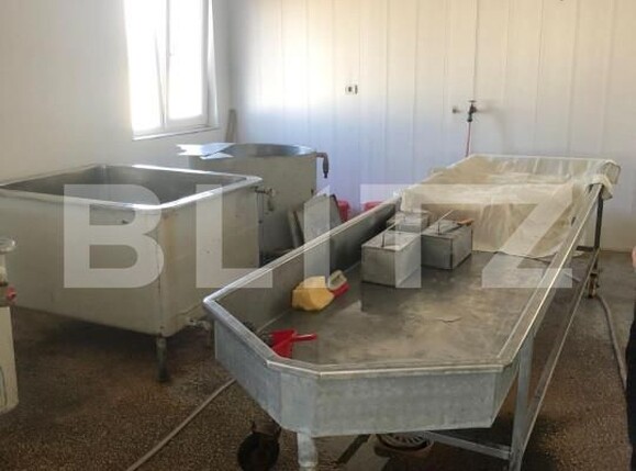 Spațiu industrial de vânzare Bucov - 157018SVI | BLITZ Ploieşti | Poza13