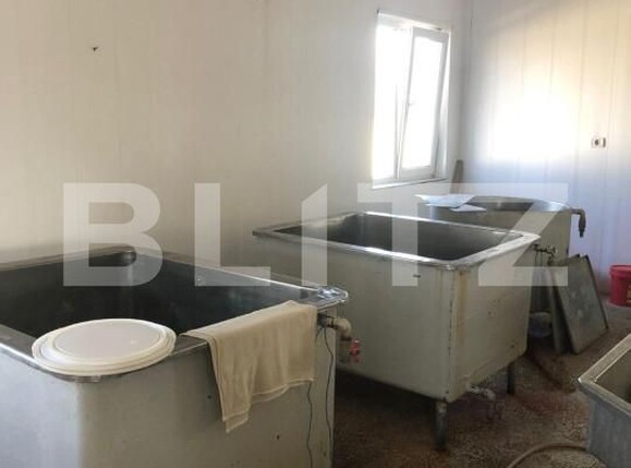 Spațiu industrial de vânzare Bucov - 157018SVI | BLITZ Ploieşti | Poza12