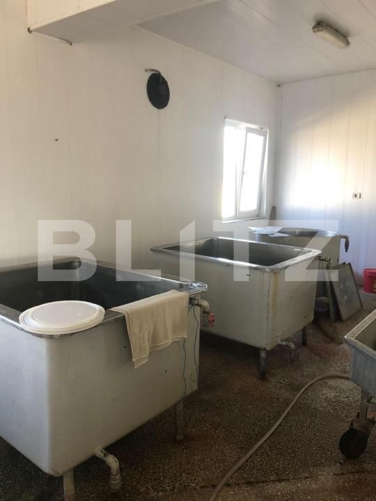 Spațiu industrial de vânzare Bucov - 157018SVI | BLITZ Ploieşti | Poza12