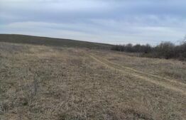 Teren intravilan industrial, 14458mp, centura de Est 