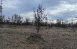 Teren intravilan industrial, 14458mp, centura de Est 