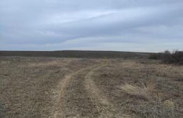 Teren intravilan industrial, 14458mp, centura de Est 