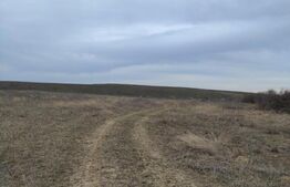 Teren intravilan industrial, 14458mp, centura de Est 