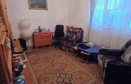 Apartament cu 3 camere si curte de 166 mp in proprietate, zona Rudului 