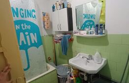 Apartament cu 3 camere si curte de 166 mp in proprietate, zona Rudului 