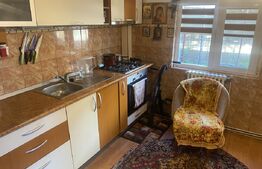 Casa individuala, 3 camere, complet utilata si mobilata, Dorobantu.