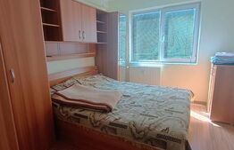 Apartament cu 2 camere modern, renovat in totalitate, zona Vest