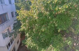 Apartament cu 2 camere modern, renovat in totalitate, zona Vest