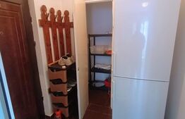 Apartament cu 2 camere modern, renovat in totalitate, zona Vest