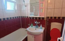 Apartament cu 2 camere modern, renovat in totalitate, zona Vest