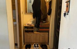 Garsoniera 20mp, renovata si utilata, zona Vest