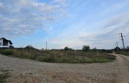 Teren intravilan Paulesti 1000mp