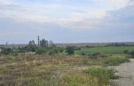 Teren intravilan Paulesti 1000mp