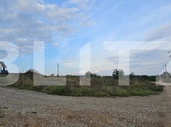 Teren de vânzare Paulesti - 159426TV | BLITZ Ploieşti | Poza3